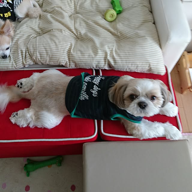 ronさんの実例写真