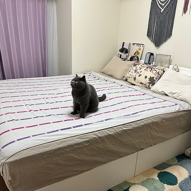 kittyさんの部屋