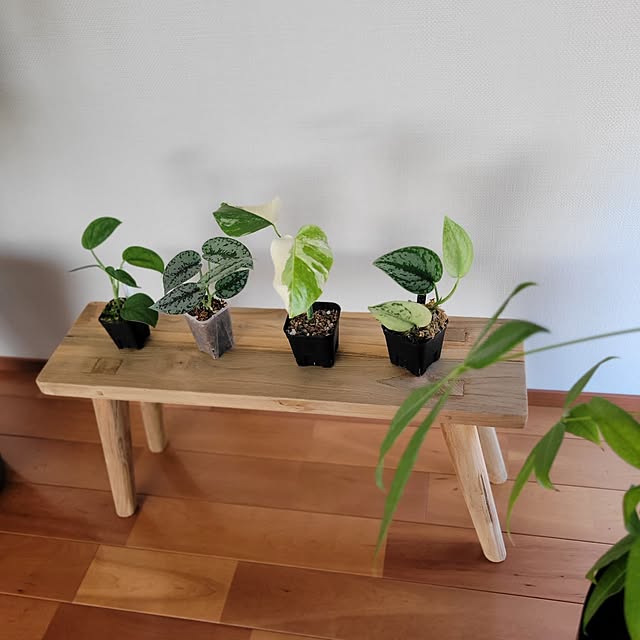 RSYさんの部屋