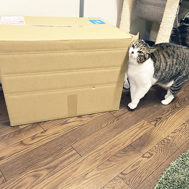 tiroさんの実例写真