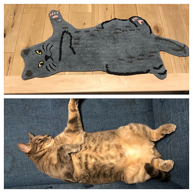 kuu511さんの実例写真