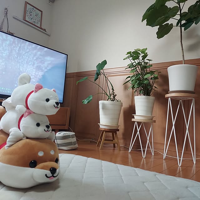 youFUKUさんの実例写真