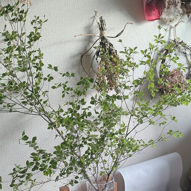 monnさんの部屋