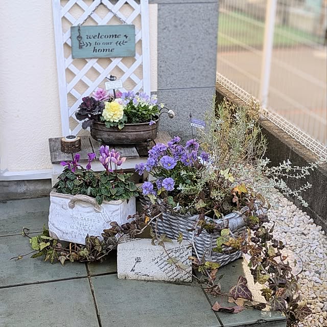 purpureさんの実例写真