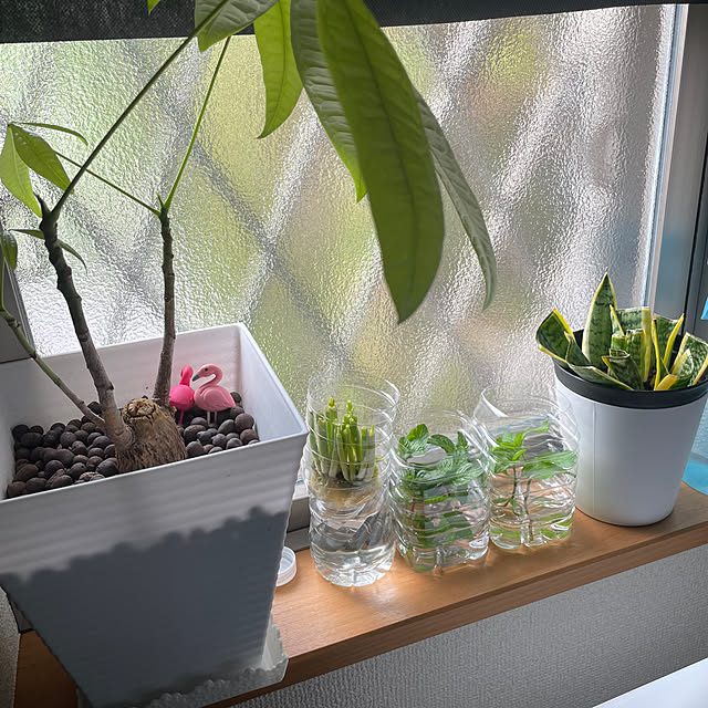 yuyuさんの部屋