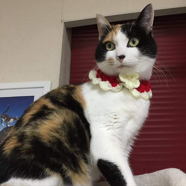 mtkさんの実例写真
