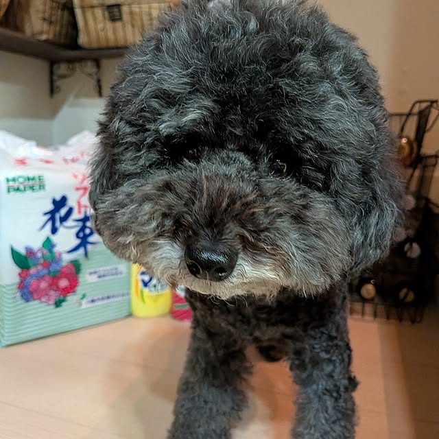 umeboshicyanさんの部屋