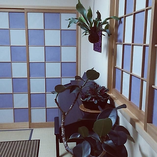Esさんの実例写真