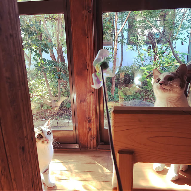 Oreoさんの実例写真