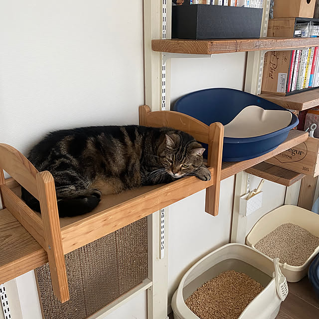 mikomaruさんの実例写真