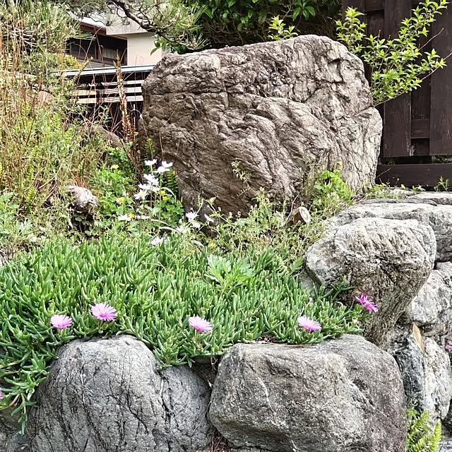 kuririnmamaさんの部屋