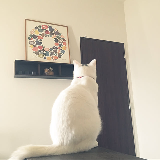 Tencil_Homeさんの実例写真