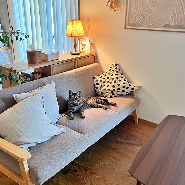 puu.tuuliさんの部屋