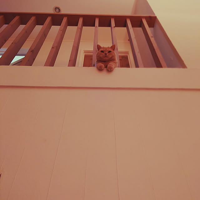 nanamomo1119さんの実例写真