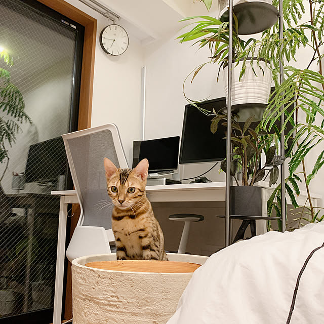 Kurehaさんの実例写真