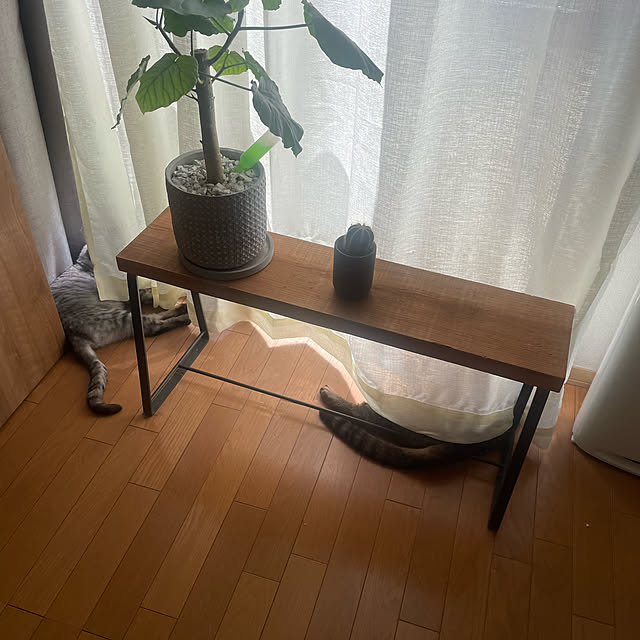 kabosuさんの実例写真
