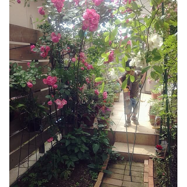 mayRin.さんの実例写真