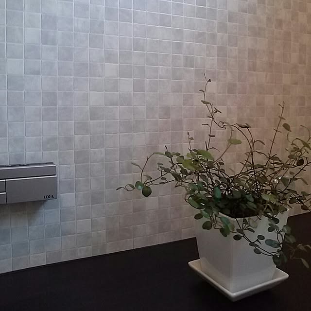 junaさんの実例写真