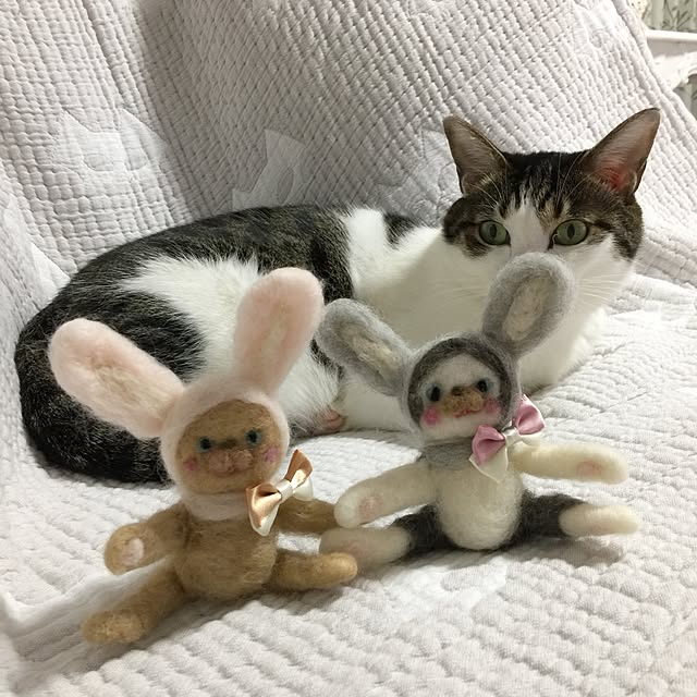 yuchiさんの実例写真