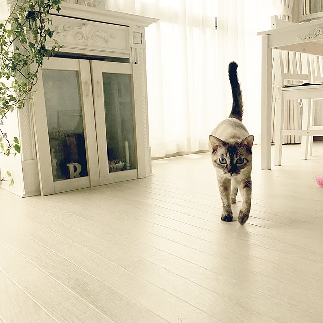 noelさんの実例写真