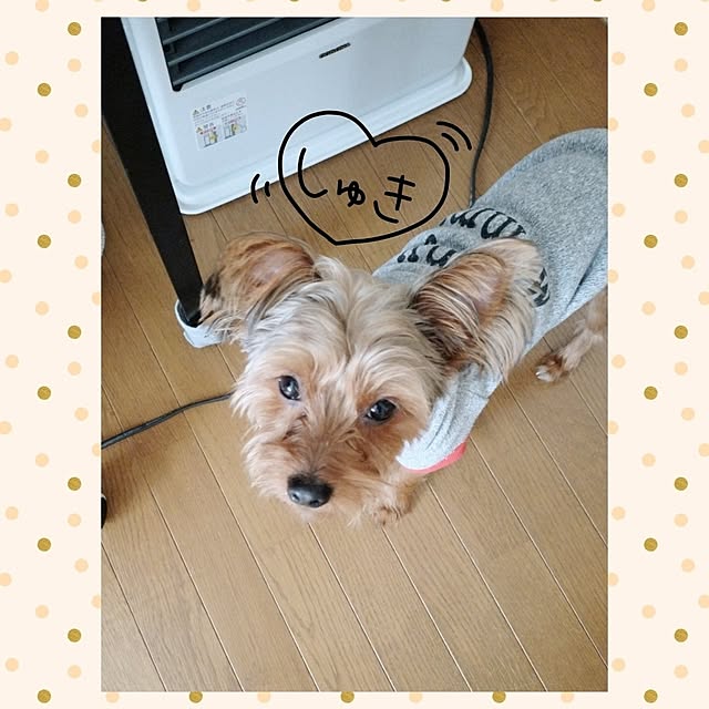 chinon721さんの部屋