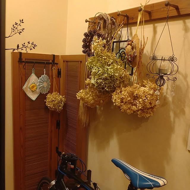 Hujikoさんの部屋