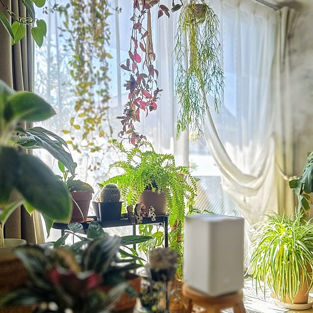 YuriYuriさんの部屋