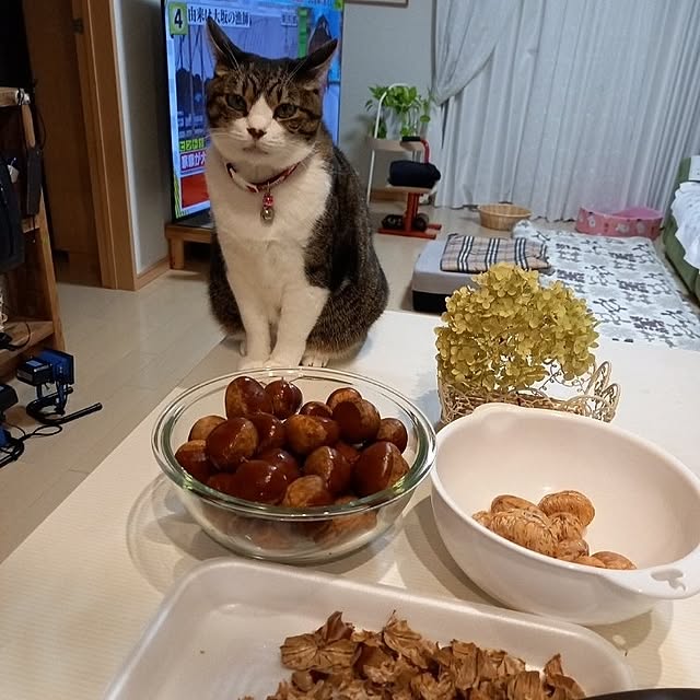 civicglさんの実例写真