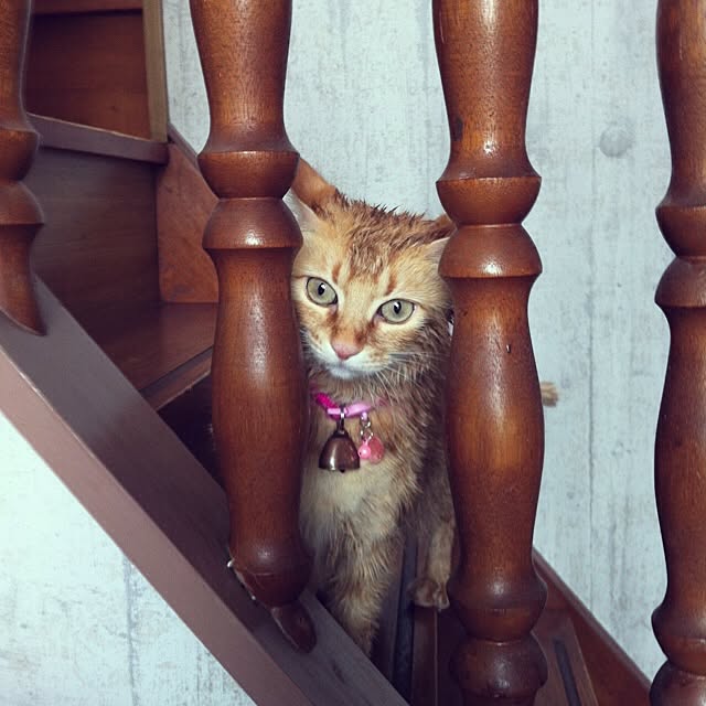 notさんの実例写真