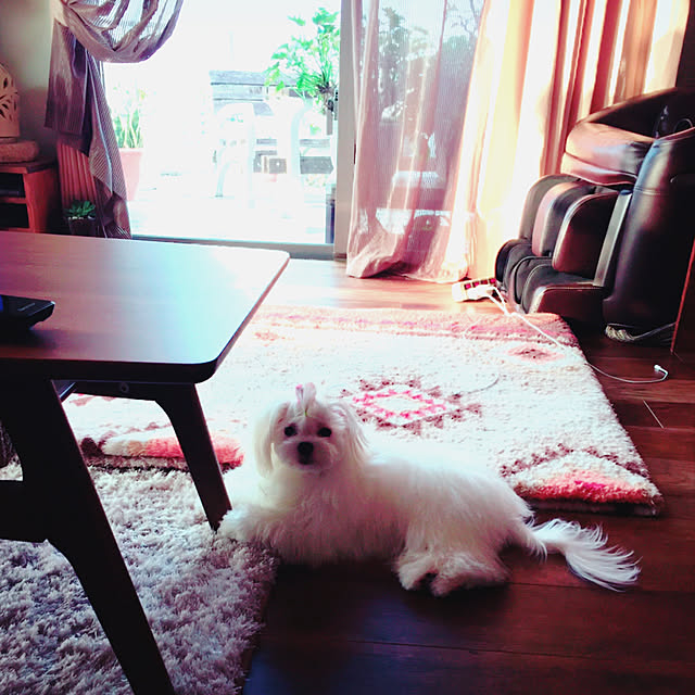 mayuさんの実例写真