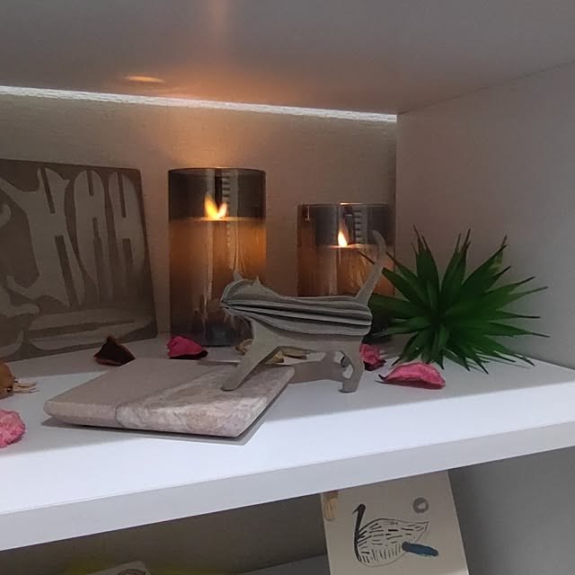 38catさんの部屋