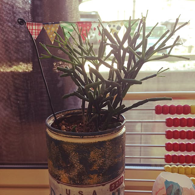 mamahiroさんの実例写真