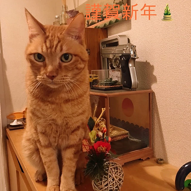 kou-kitiさんの実例写真