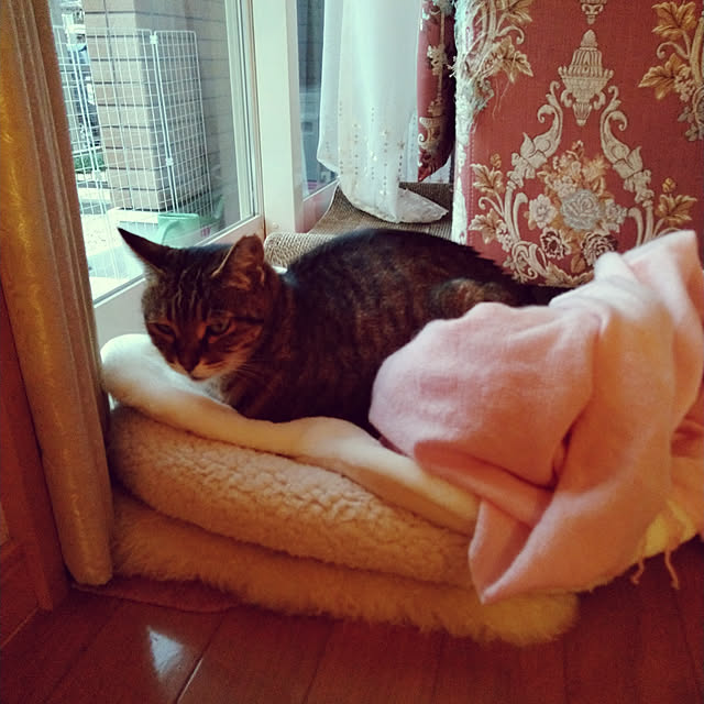lilyさんの実例写真