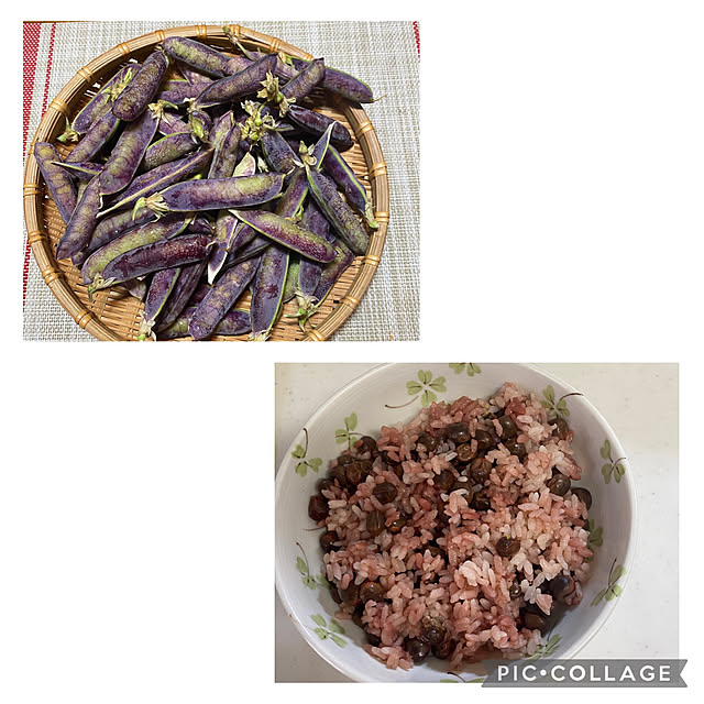 chIoeさんの実例写真