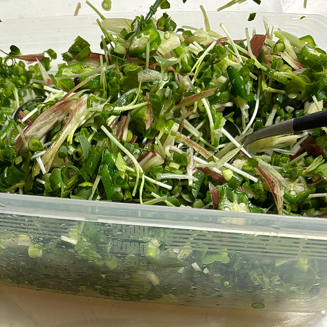 syutmmさんの部屋