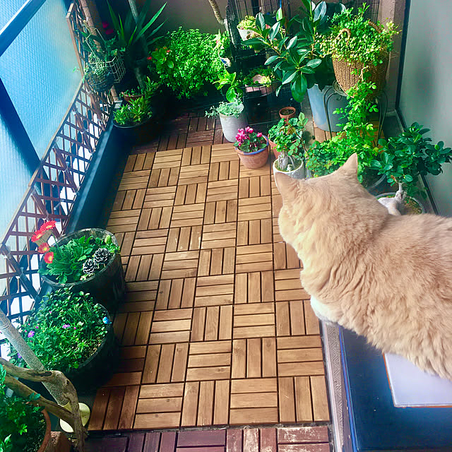 naokoさんの実例写真