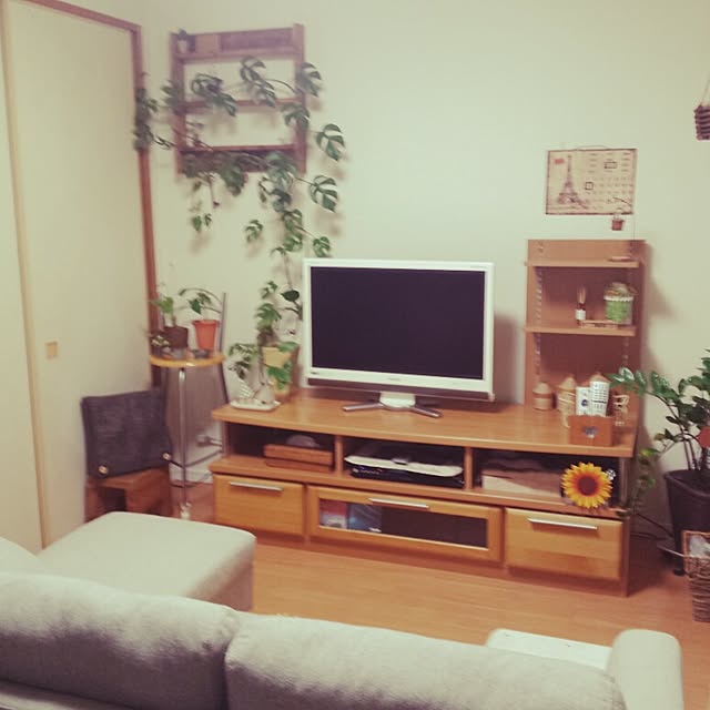 rorochimanさんの実例写真