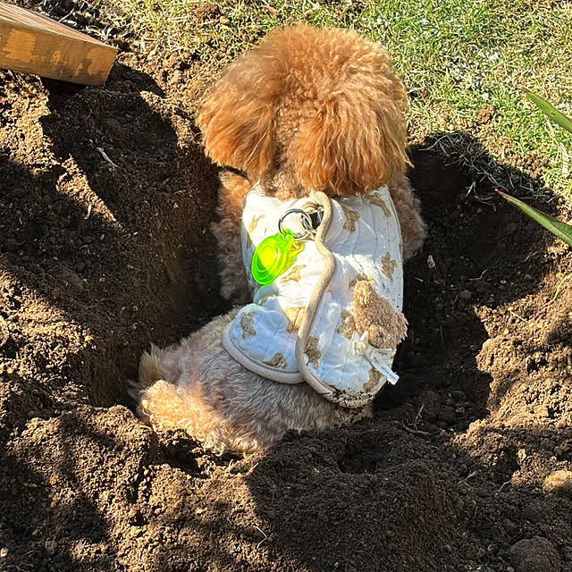 bonjiri0824さんの部屋