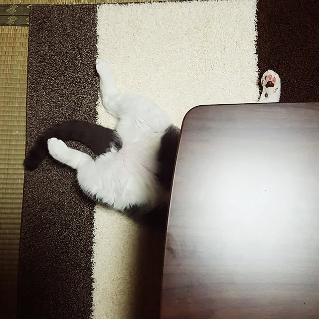 rhuさんの実例写真