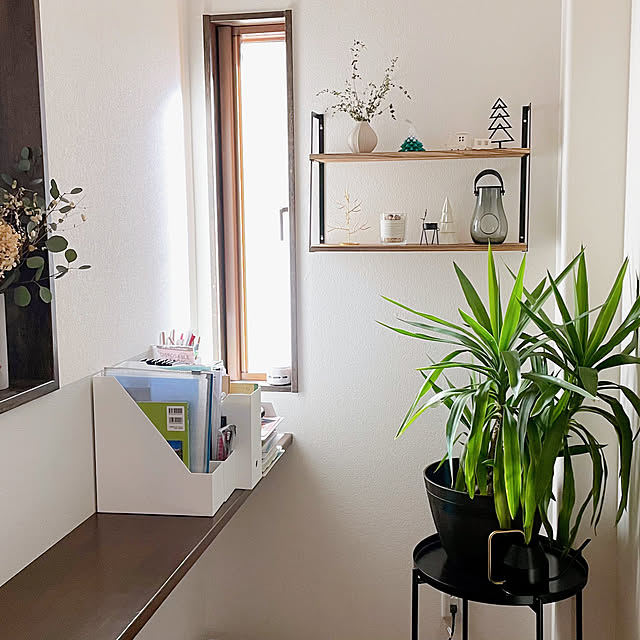 観葉植物のある生活/シンプルな暮らし/インテリア雑貨/好きなものに囲まれて暮らす/桧家住宅...などのインテリア実例 - 2022-12-20 20:36:39