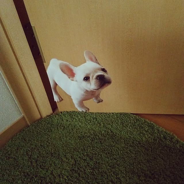 834さんの実例写真