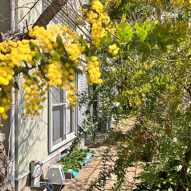 tomorinさんの部屋