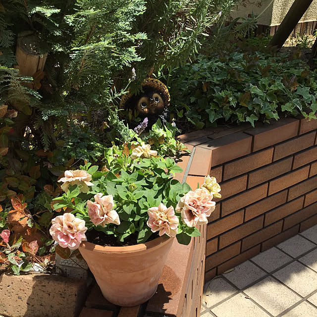 chikaさんの実例写真
