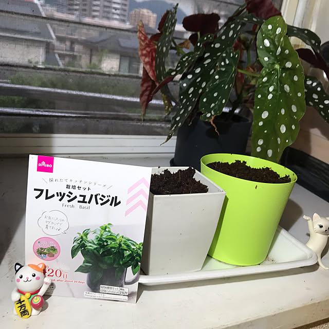 kou-kitiさんの実例写真