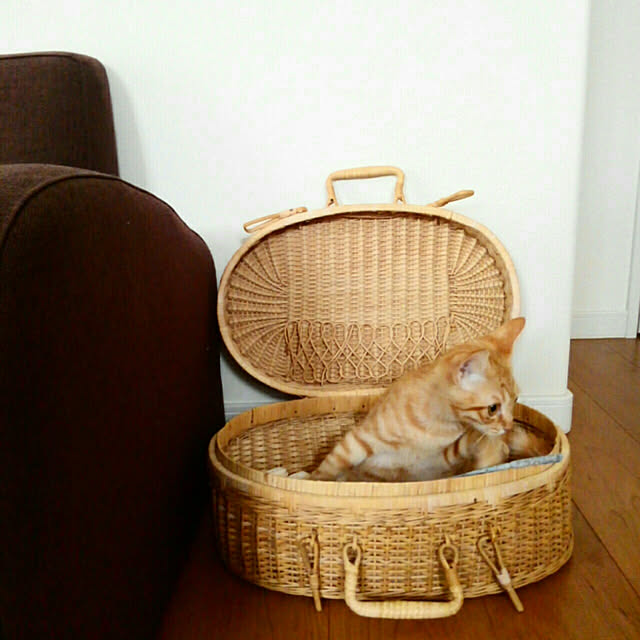 mayutan.さんの実例写真