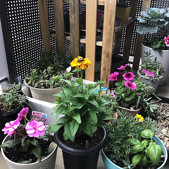 Yukityannさんの実例写真