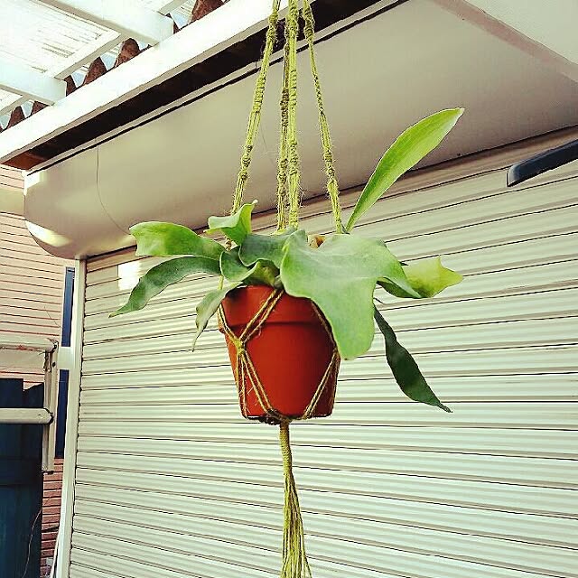 mamitasuさんの実例写真