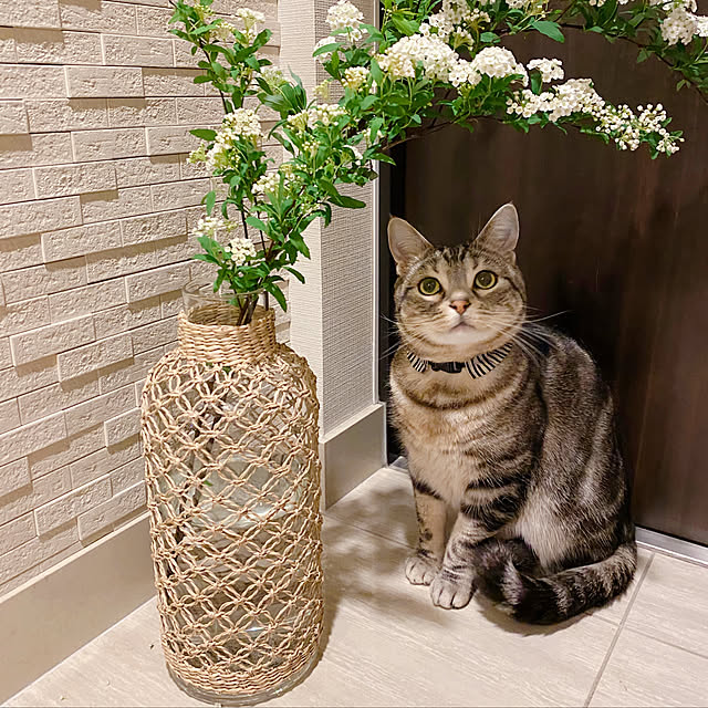 yoshimi_443さんの実例写真