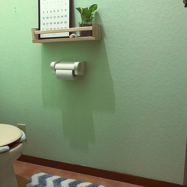 igaigaigaさんの実例写真